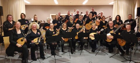 Plektrum Melodisten orkest